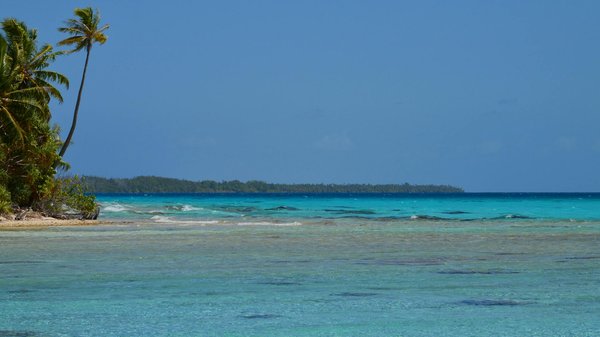 What Unique Souvenirs Can You Bring Back from Your UK Trip?